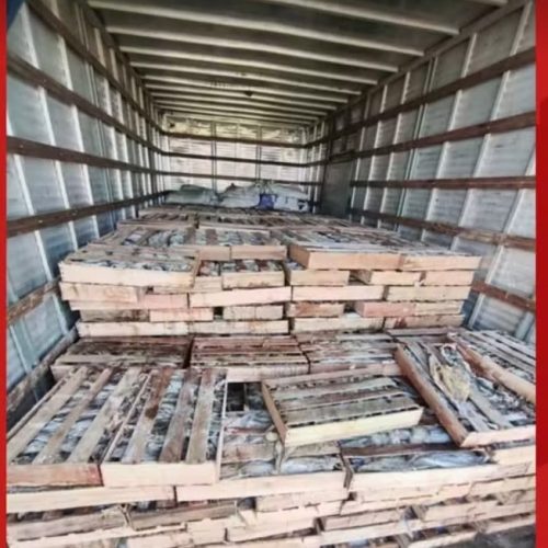 PRF apreende nove toneladas de peixe transportadas de forma irregular na Bahia
